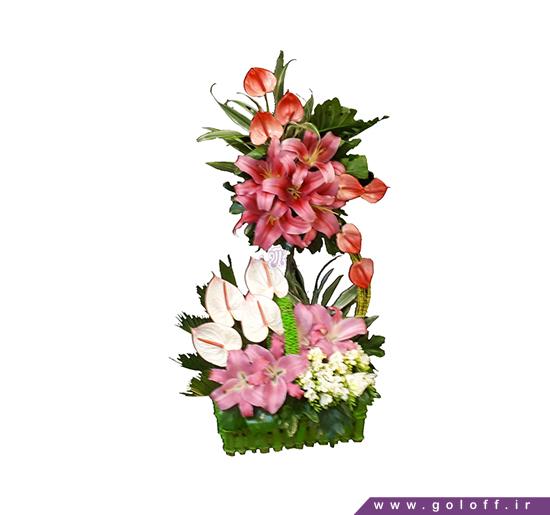 خرید گل - سبد گل آریاناز - Aynaz | گل آف